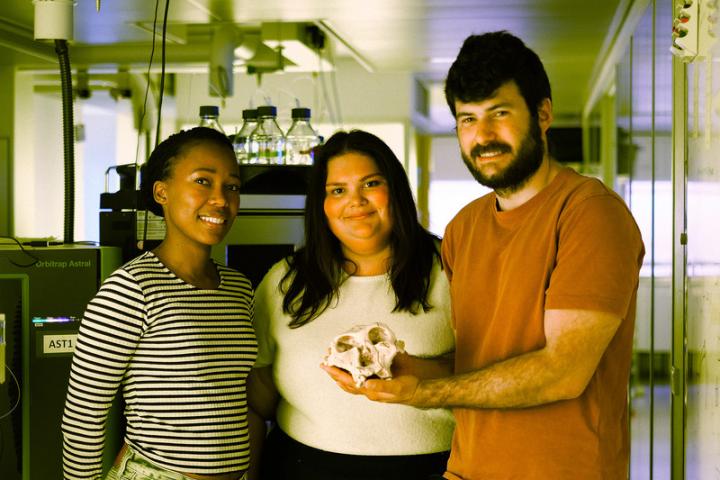 scientists holding skull