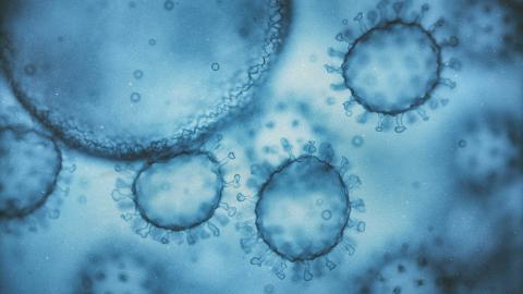 HIV CELLS