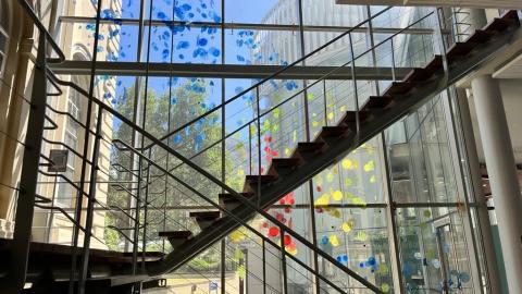 Scatter plot from the inside