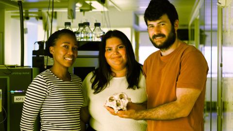 scientists holding skull