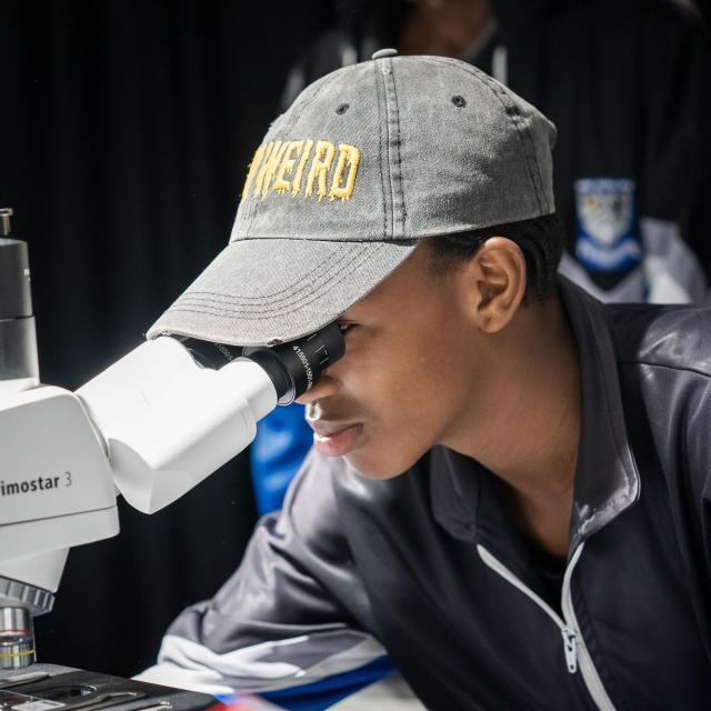 microscope4