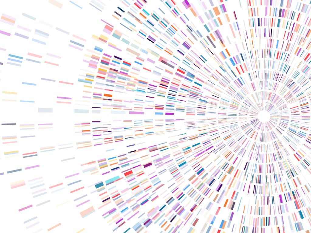 circles of colours