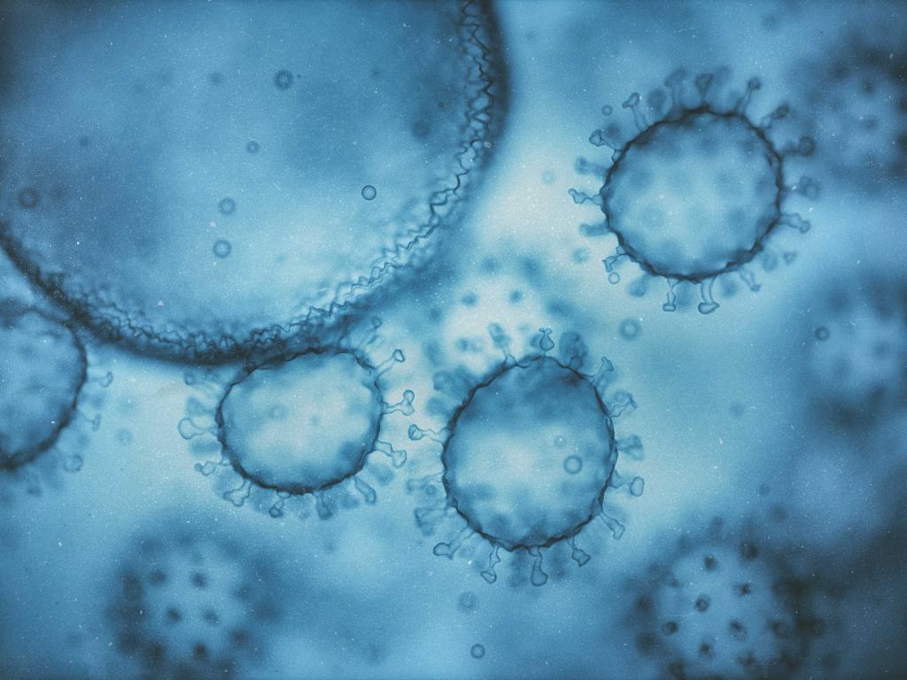 HIV CELLS