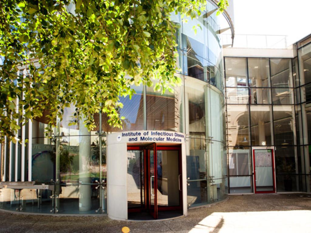 IDM Postgraduate Students research showcased in publication competition